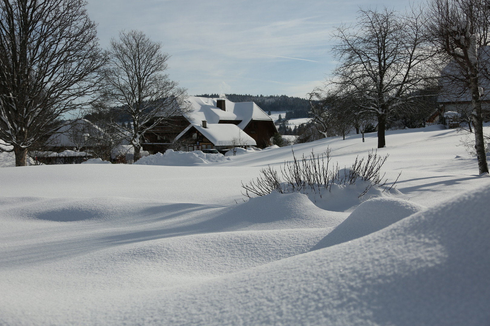 Südschwarzwald