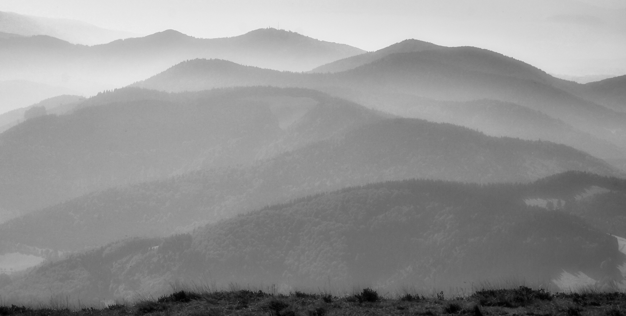 Südschwarzwald im leichten Morgennebel