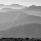 Südschwarzwald im leichten Morgennebel