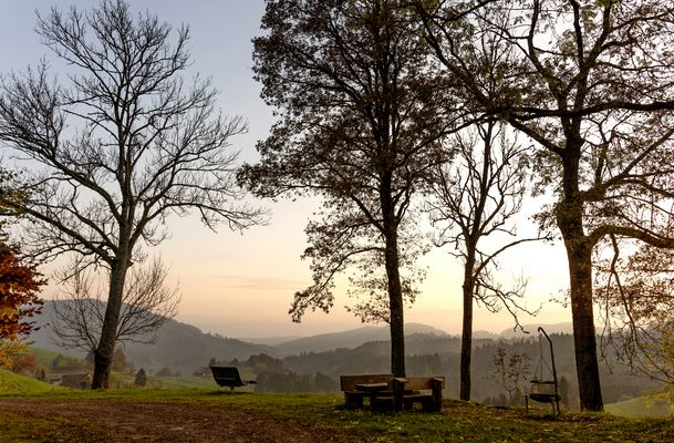 Südschwarzwald mit Blick Richtung Elsass