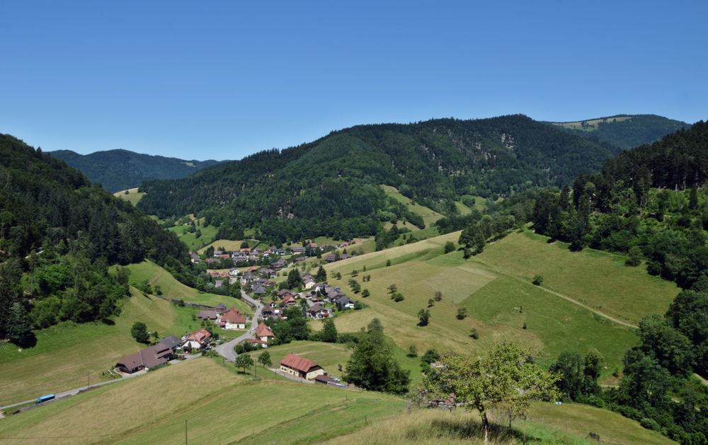 Südschwarzwald: Münsterhalden