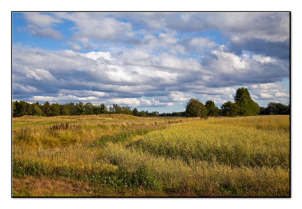 Südschweden, August 2013