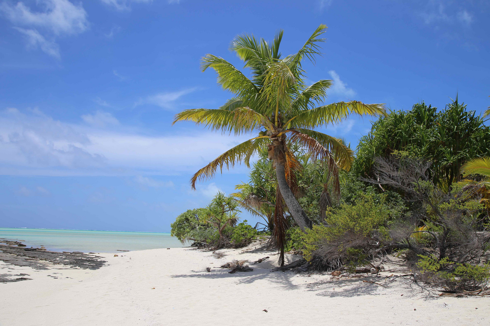 Südsee Aitutaki Cook Insel 