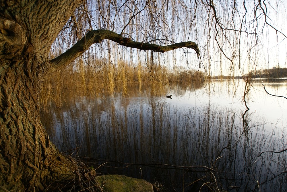 Südsee