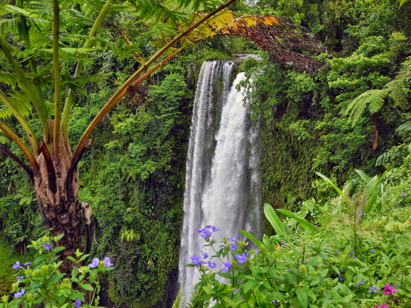 Südsee: Samoa- der Wasserfall Fuipisia im trop. Urwald der Insel