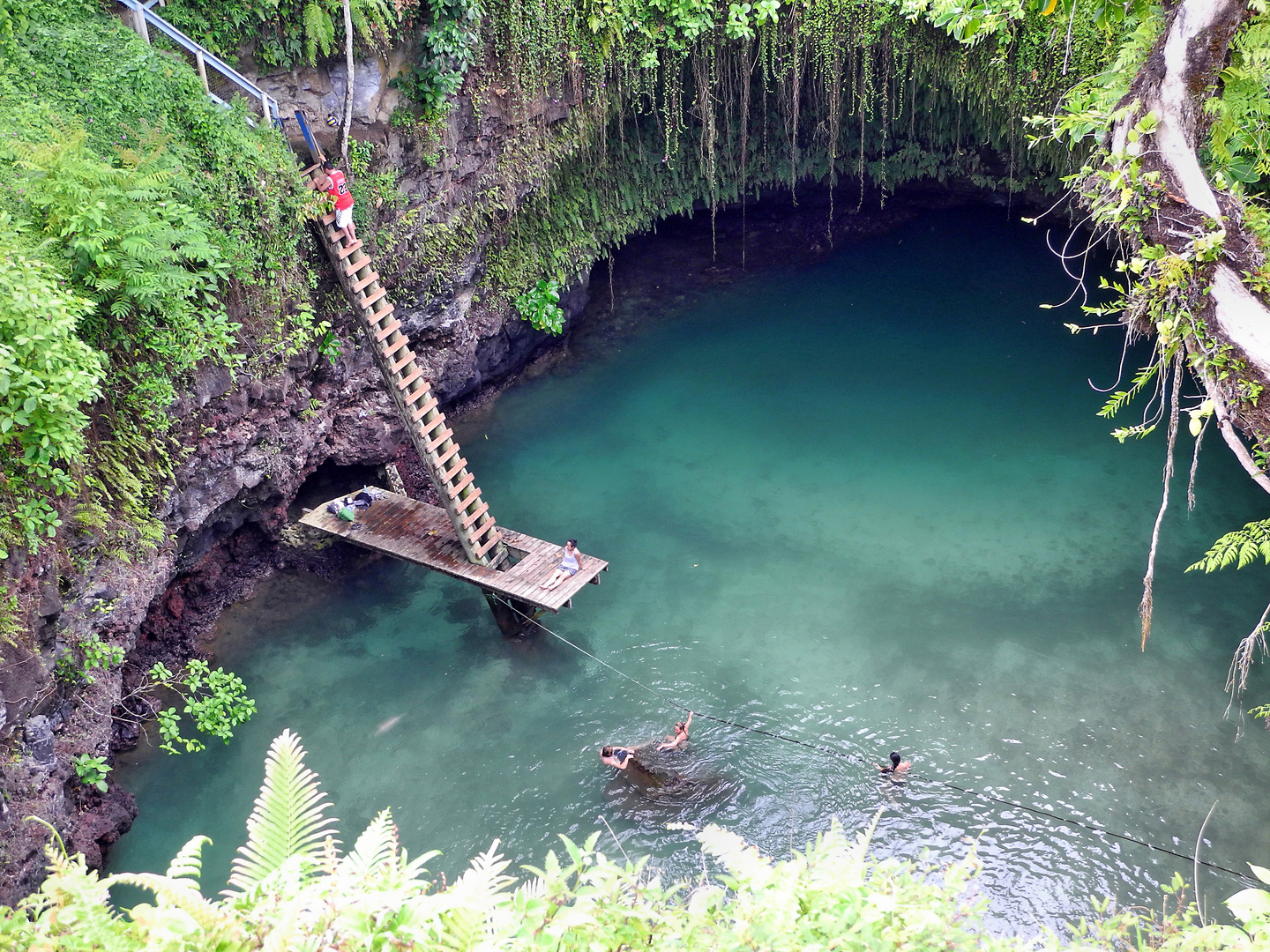 Südsee: Samoa- Schwimmen im Vulkankrater von To Sua Trench, Samoa