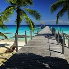 Südsee Tahiti Fakarava Atoll 