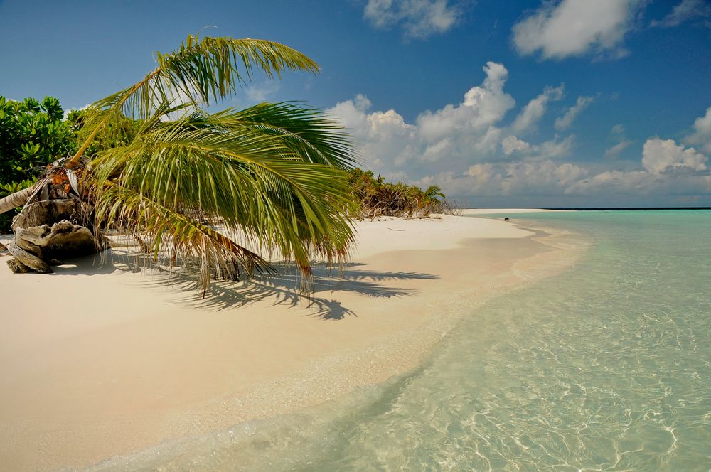 Südsee Träume - Tuamotu Atoll - Tahiti