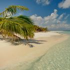 Südsee Träume - Tuamotu Atoll - Tahiti