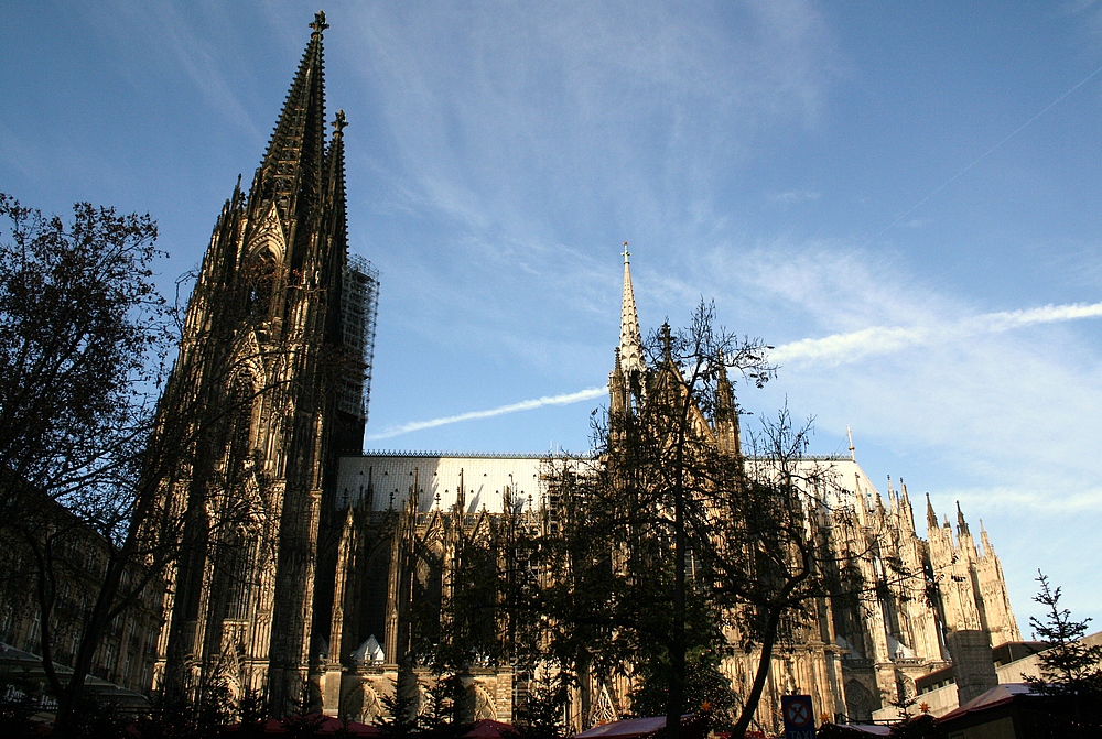 Südseite Kölner Dom (29.11.2011) (2)