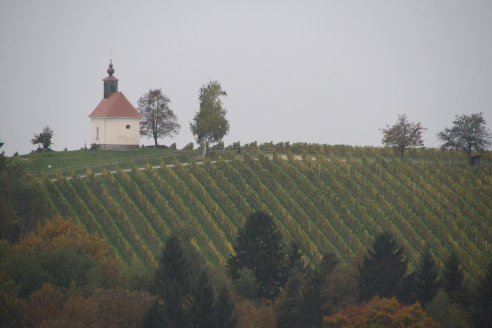 Südsteiermark