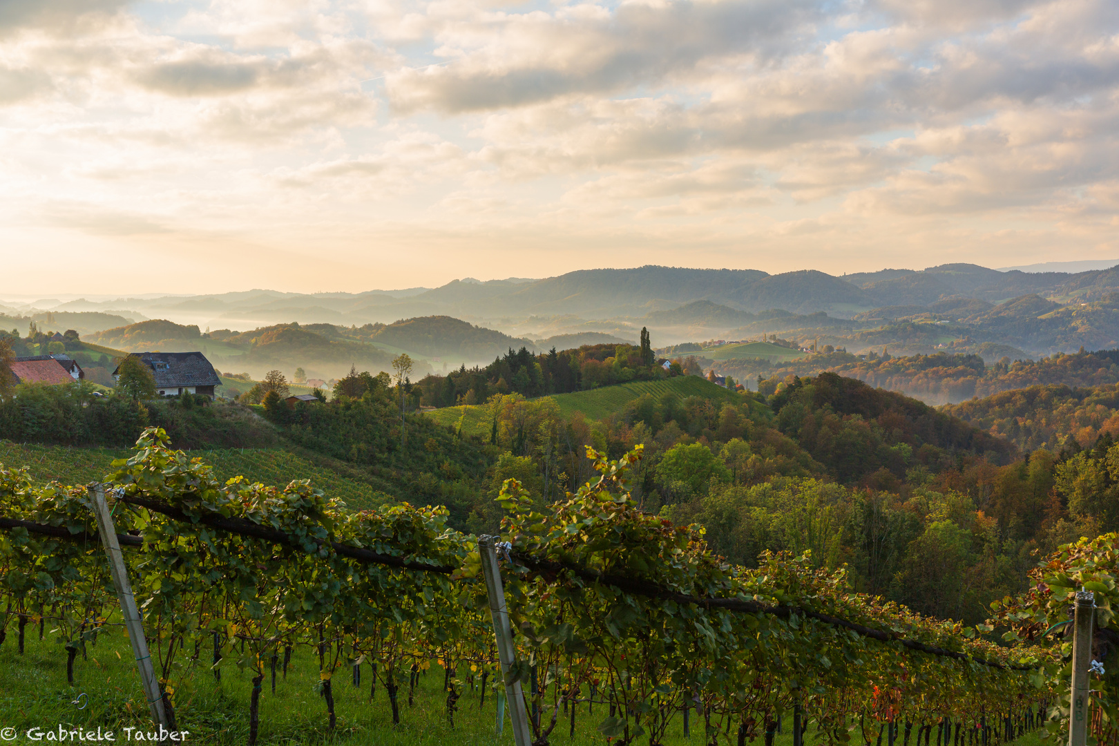 Südsteiermark