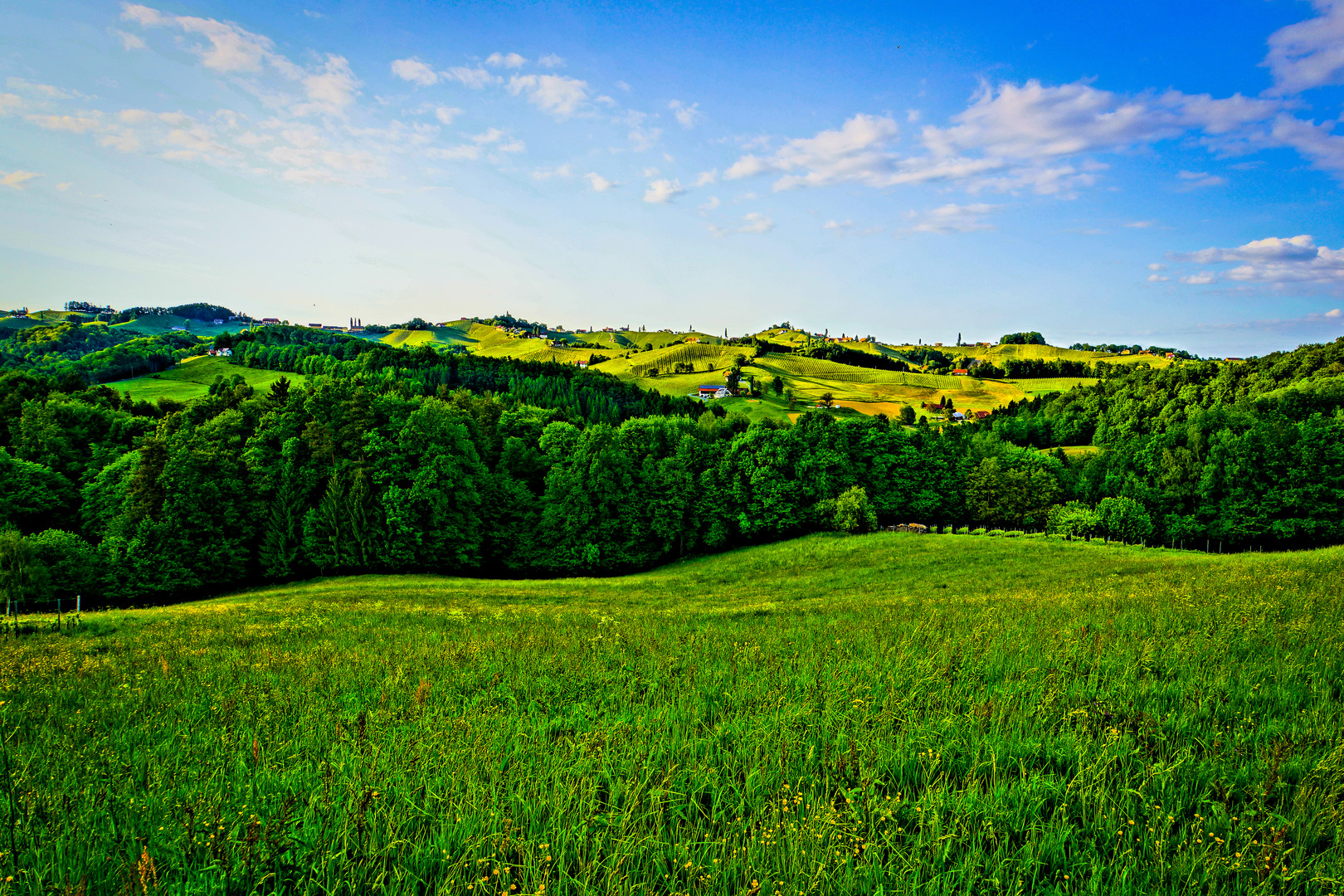 Südsteiermark