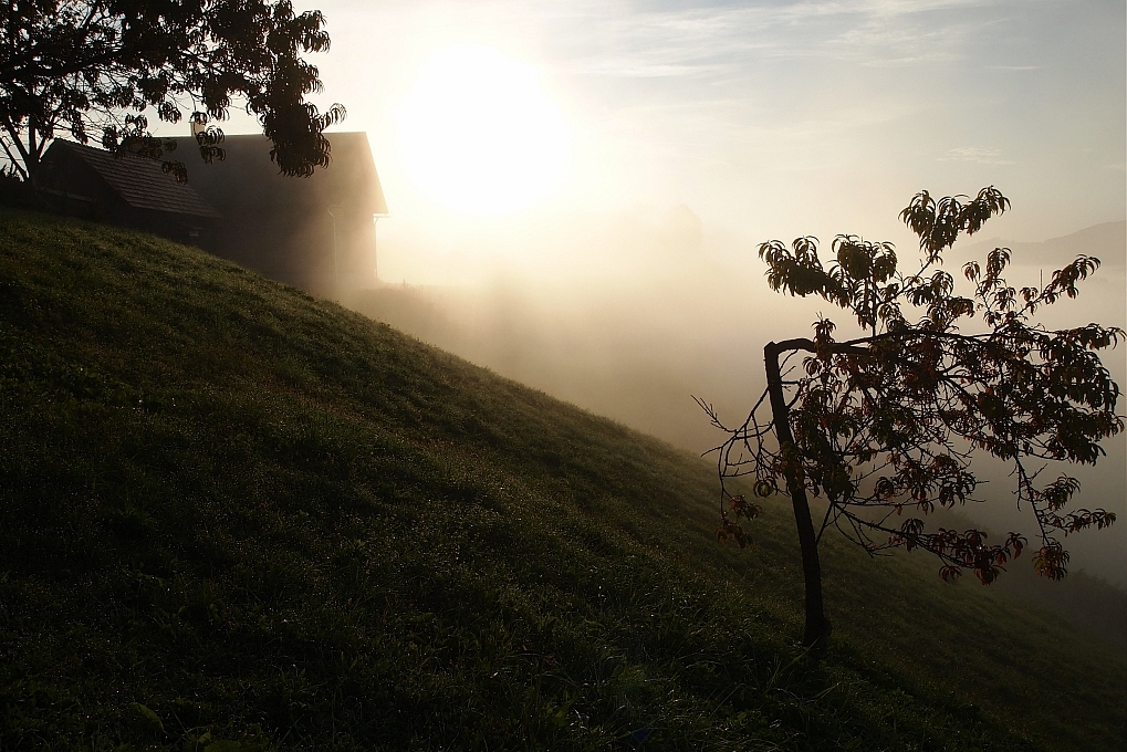 Südsteiermark 7