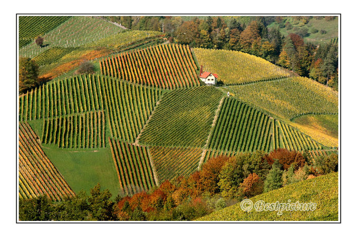 Südsteiermark