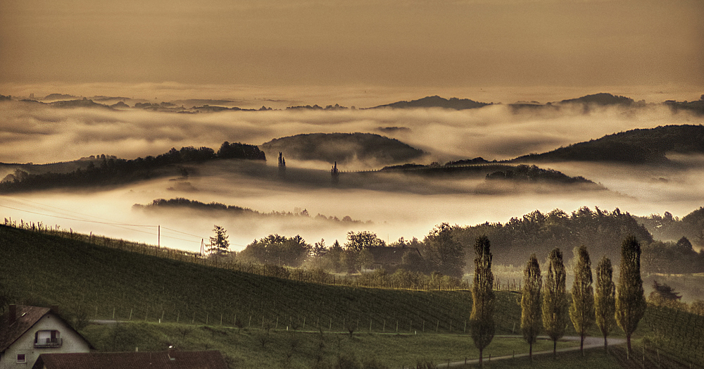 Südsteiermark am Morgen