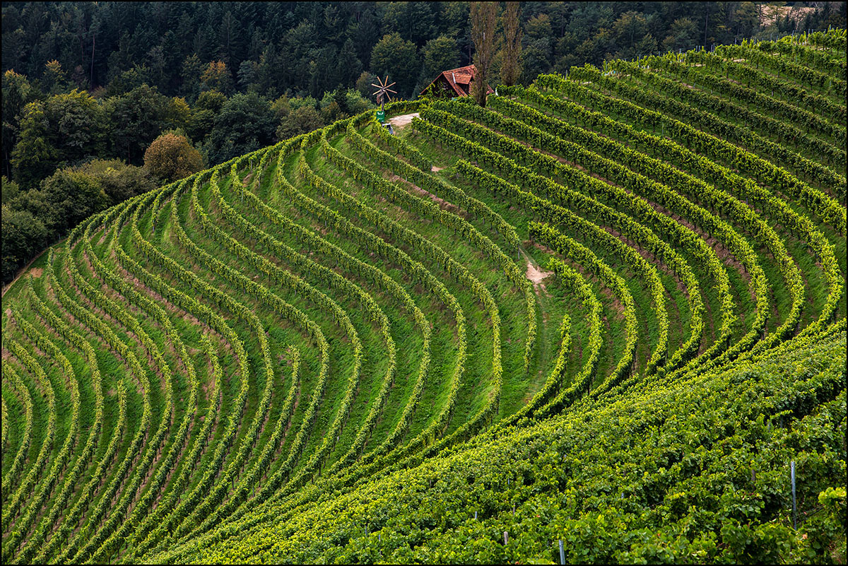 Südsteiermark