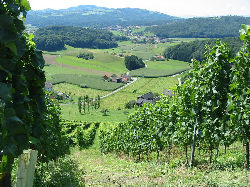 Südsteiermark, Blick auf St. Martin/Sulmtal