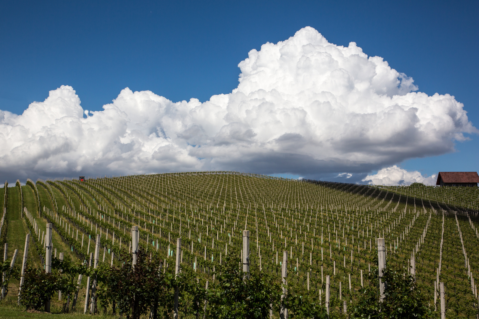 Südsteiermark