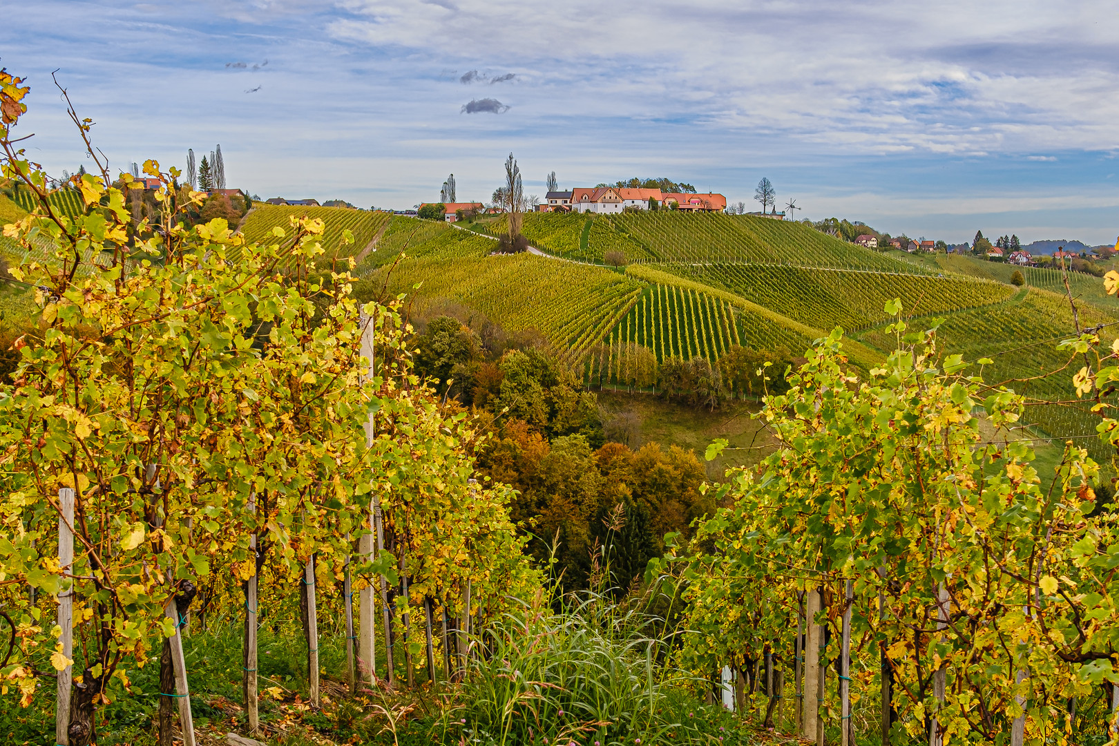 Südsteiermark