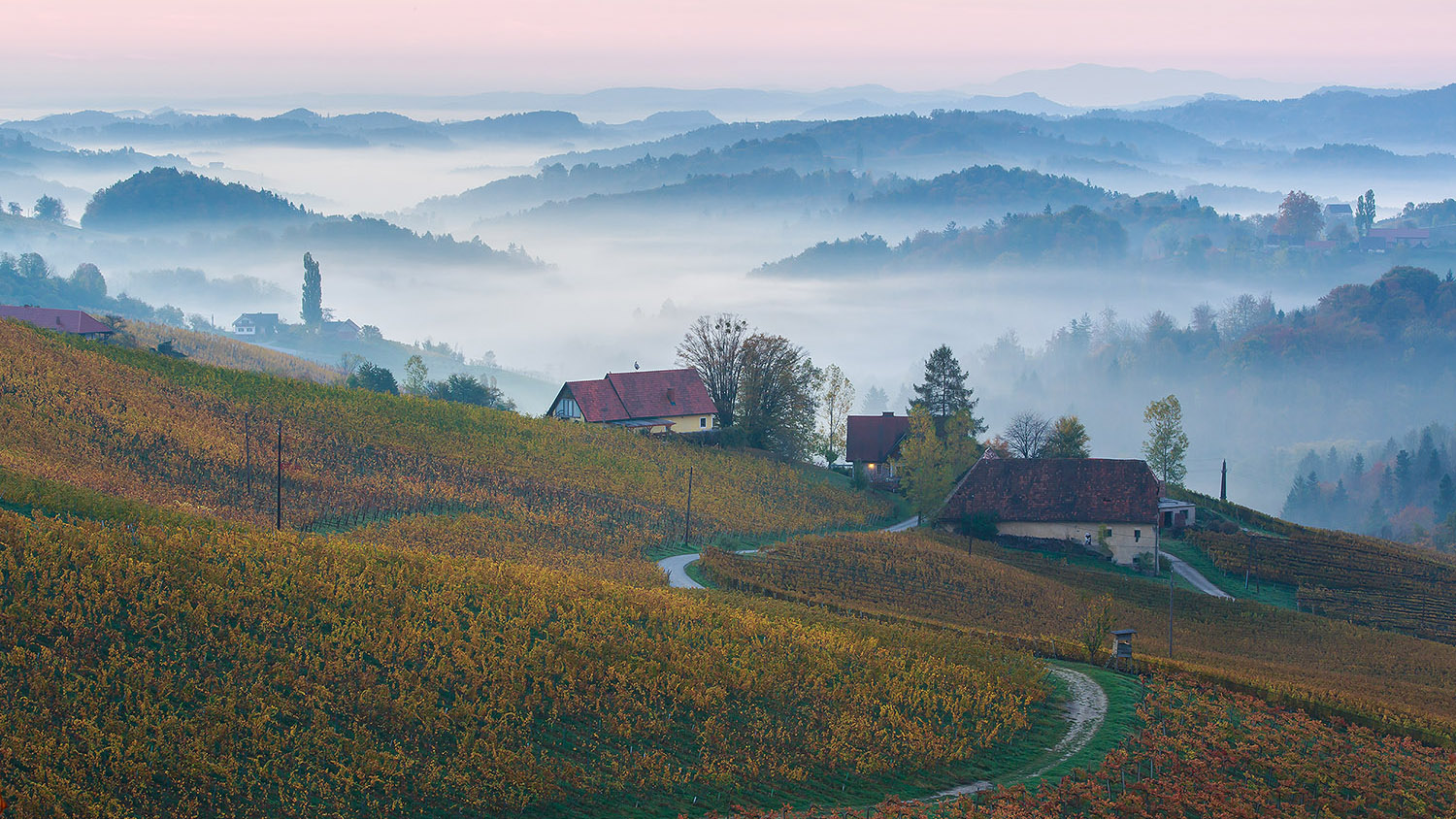 Suedsteiermark - Oesterreichische Toskana _O4A9295 HGlader