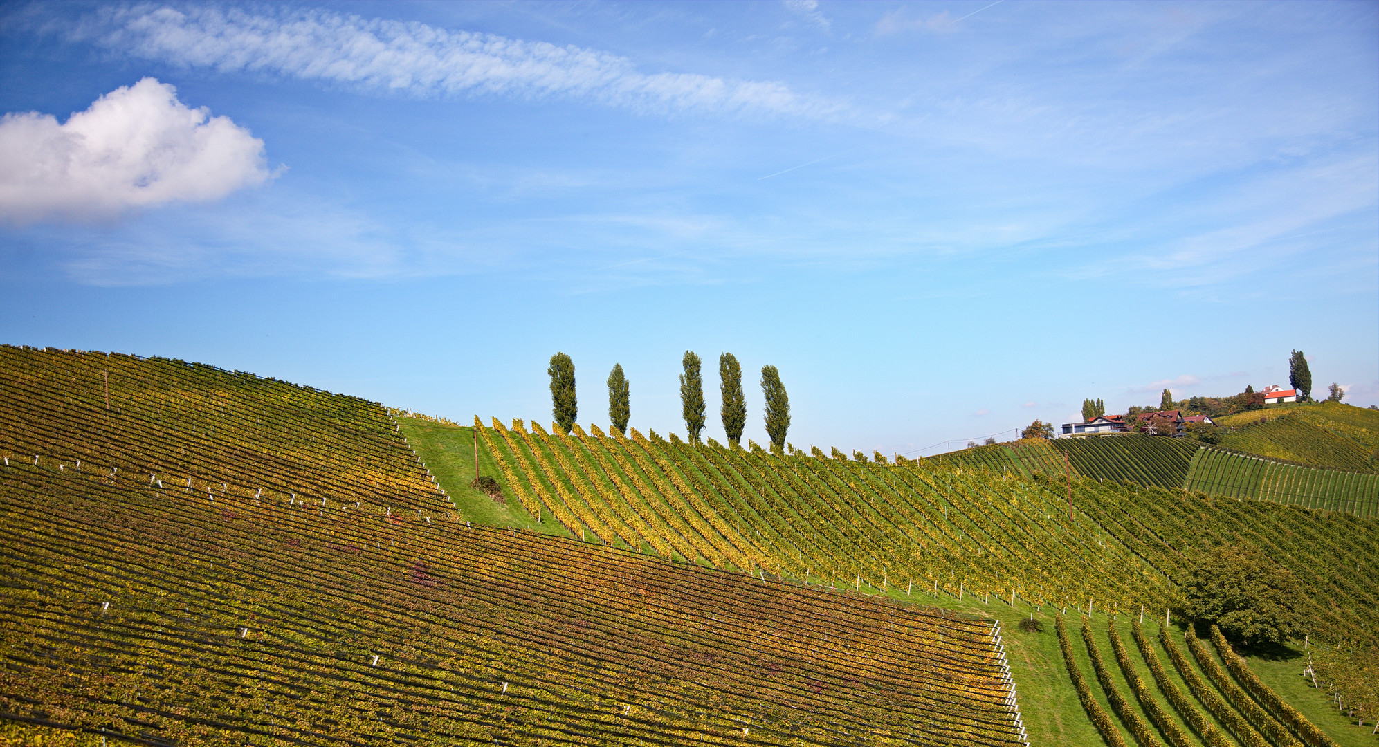 Südsteiermark - Weinstraße