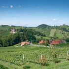 Südsteirische Weinberge 1