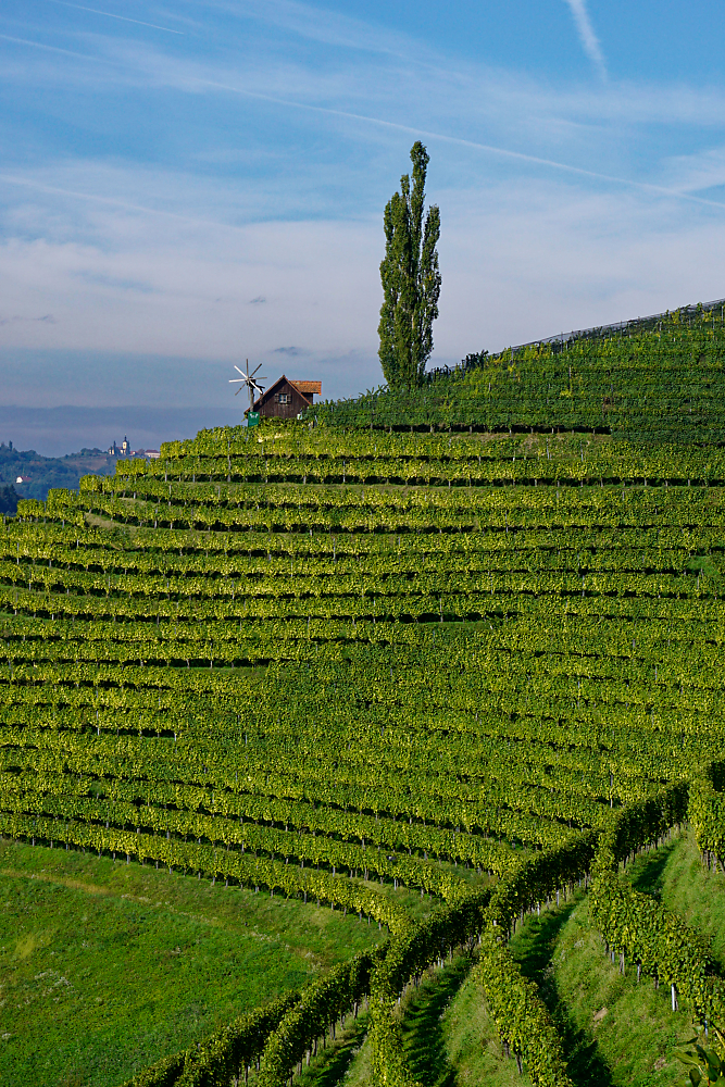 Südsteirische Weinberge 2