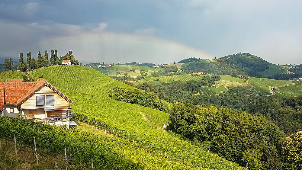 Südsteirische Weinberge 3