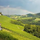 Südsteirische Weinberge 3