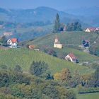 Südsteirische Weinberge 4