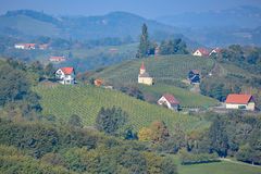 Südsteirische Weinberge 4