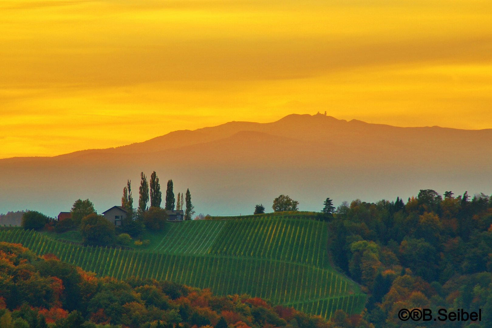 Südsteirische Weinberge