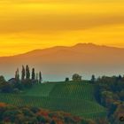 Südsteirische Weinberge