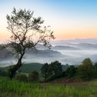 Südsteirische Weinstraße