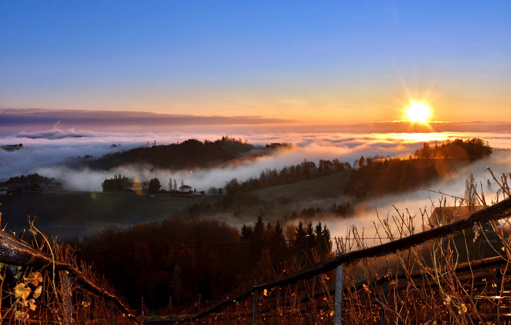 Südsteirische Weinstraße