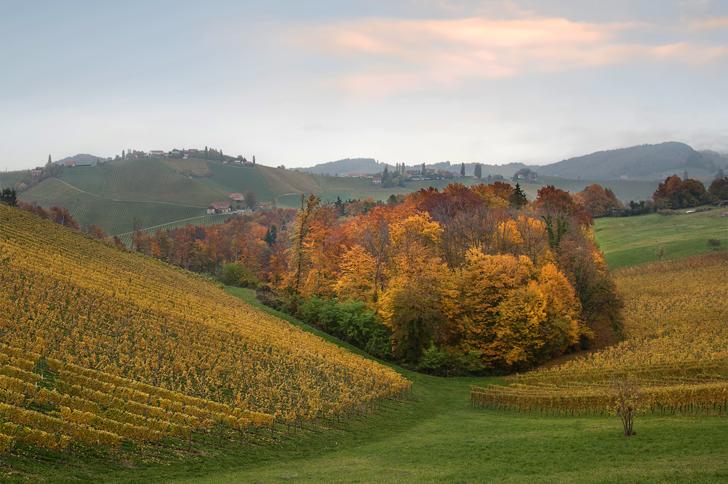 Südsteirische Weinstraße im Herbstkleid