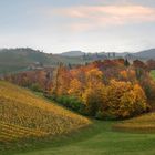 Südsteirische Weinstraße im Herbstkleid