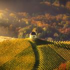 Südsteirische Weinstraße in Gamlitz, Südsteiermark (Steirische Toskana)