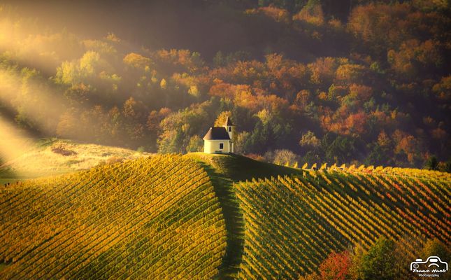 Südsteirische Weinstraße in Gamlitz, Südsteiermark (Steirische Toskana)