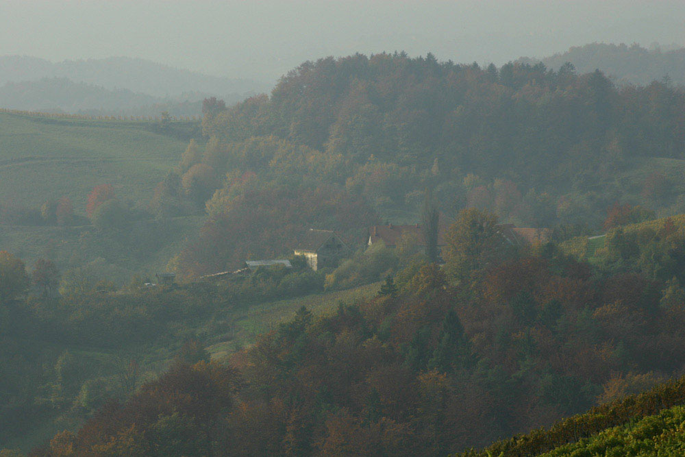 südsteirische Weinstraße in herbstlichem Dunst