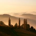 Südsteirische Weinstraße oder steirische Toskana 