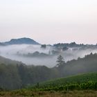 Südsteirischer Herbst