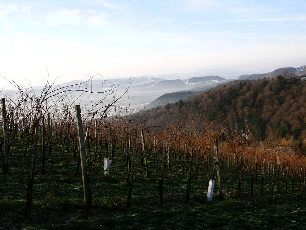 Südsteirisches Weinland