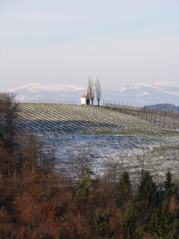 Südsteirisches Weinland (schnee)