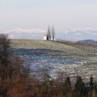 Südsteirisches Weinland (schnee)