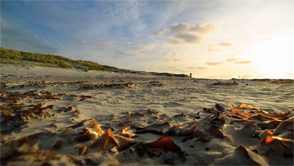 Südstrand in der Morgensonne