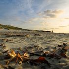 Südstrand in der Morgensonne