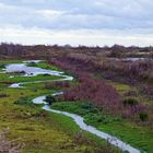 südstrandpolder norderney