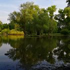 Südteich im Abendlicht